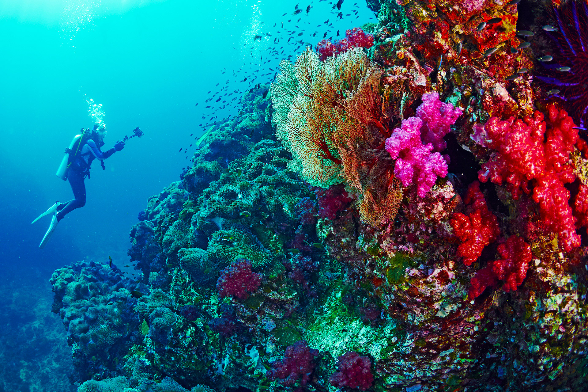 View Our Photo Gallery